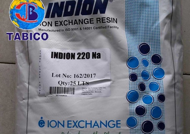 Hạt nhựa indion, xuất xứ Ấn Độ