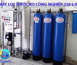May loc nuoc ro cong nghiep 250l