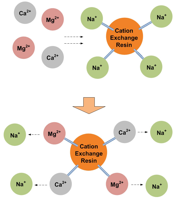 cơ chế hoạt động của hạt cation