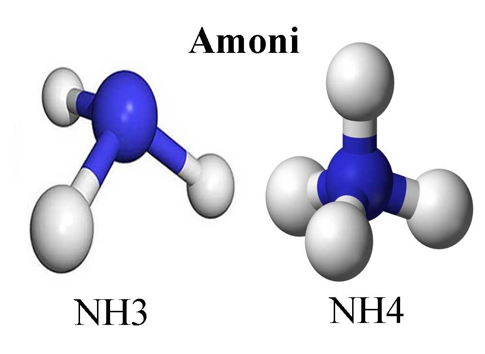công thức phân tử của amoni