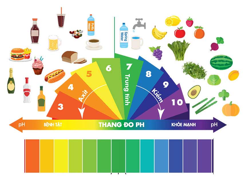 pH là gì? công thức tính độ pH và độ pH một số môi trường