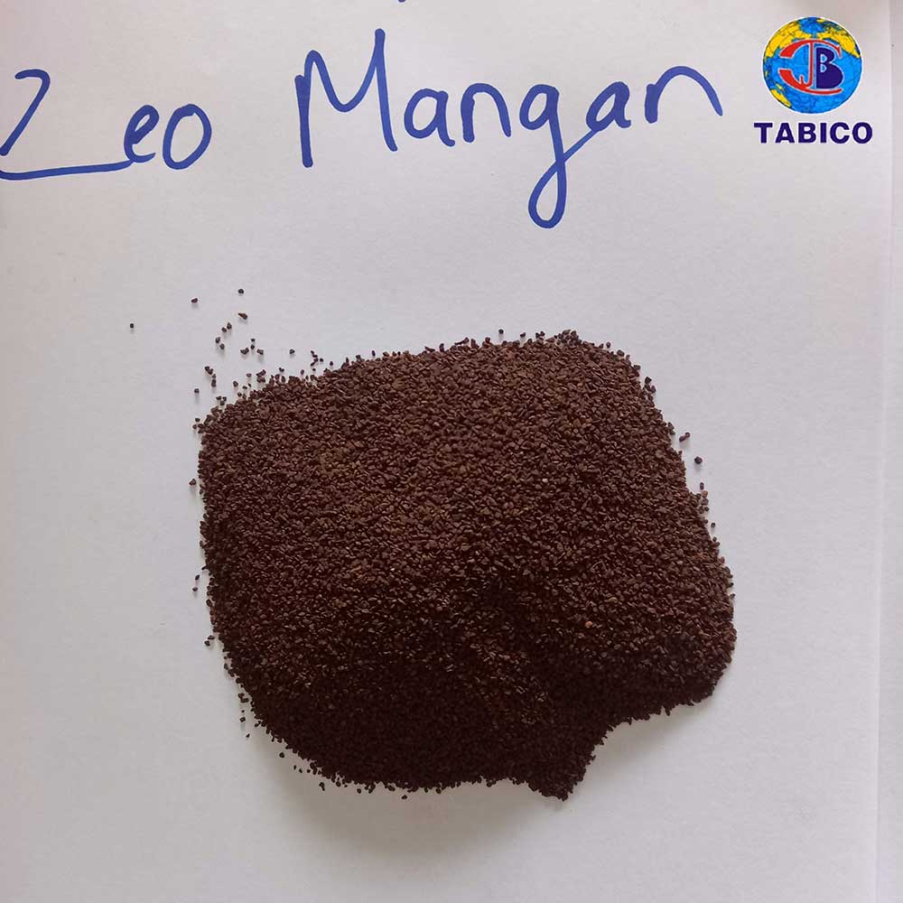 Mangan Đài loan - zeo mangan